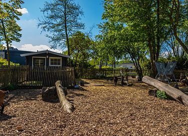Chalet zwischen Amsterdam und dem Strand - 14
