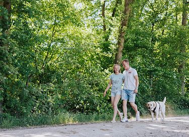 Chalet pour animaux (Veluwe) - 29