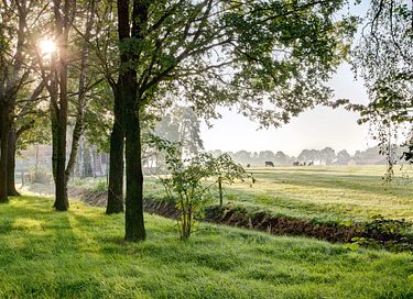 Prachtig landhuis op landgoed in Overijssel - 8
