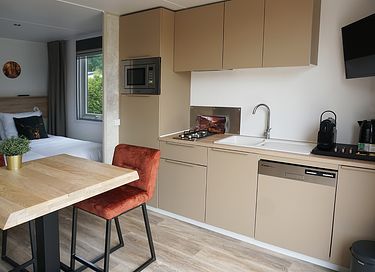 Luxury lodge for two on the Veluwe - 6