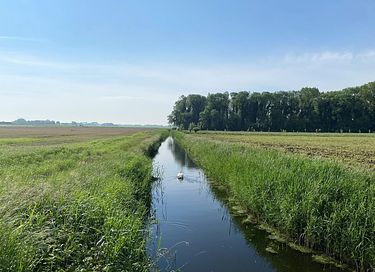 Luxe lodge met hottub in de natuur - 39