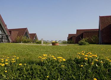Landelijke Hotelhuisjes bij de boer - 2