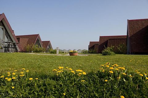Landelijke Hotelhuisjes bij de boer - 2