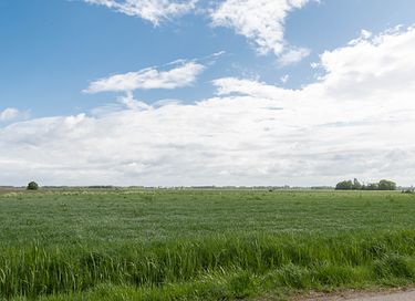 Country house for 6 people in the polder - 47
