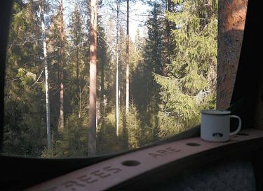 Tente glamping unique en pleine forêt - 13