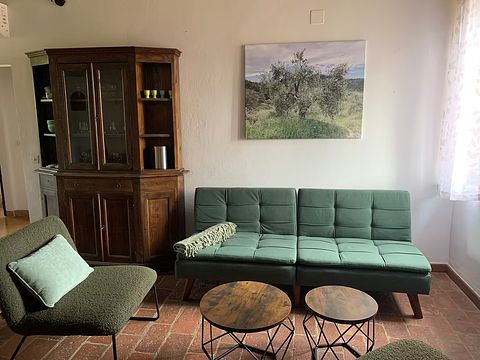 Appartement authentique au milieu des oliviers - 4