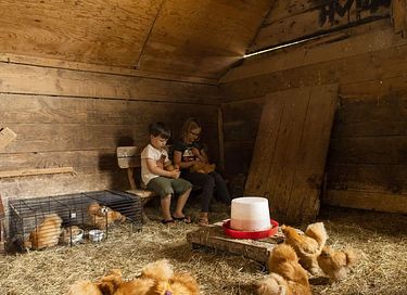Glamping inmitten von Kühen in einer waldreichen Gegend - 25