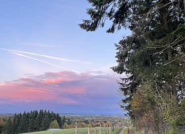Leuk vakantiehuis voor 2 personen in de Eifel - 12