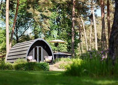 Luxury Pod in the middle of the forest - 2