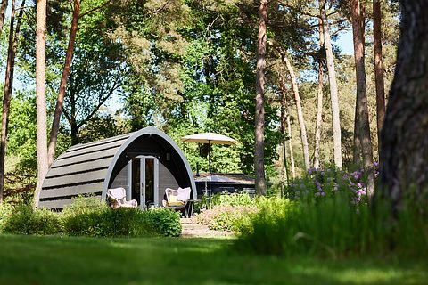 Luxury Pod in the middle of the forest - 2