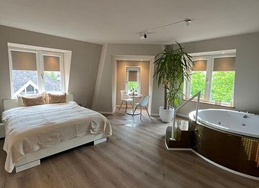 Luxe privé spa met bad, bioscoop & sauna - 10