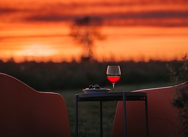 Luxe lodge in het weiland met privé hottub - 30