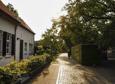 Luxe tiny house in prachtige groene omgeving - 36