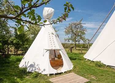Slapen tussen de schapen in een tipi (5 pers) - 10
