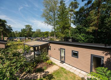 Lodge für 5 Personen in bewaldetem Gebiet - 3