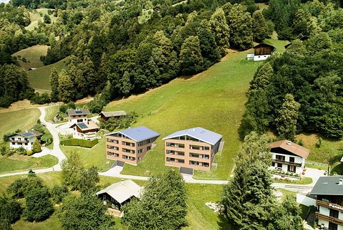 Spacious apartment in the Austrian mountains - 2