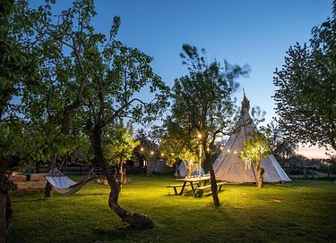5-person tepee amidst farm animals