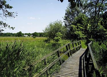 Cottage Overijssel in green surroundings - 23