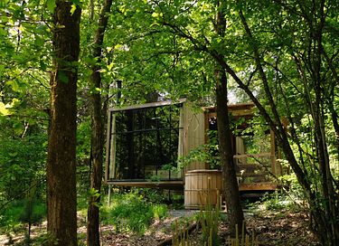 Maison forestière accueillant les chiens 