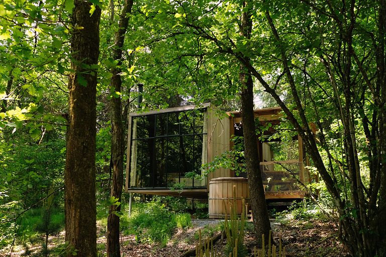 Hundefreundliches Waldhaus in den Ardennen - 1