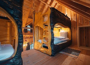 Magisch verblijf in een boomlodge - 16