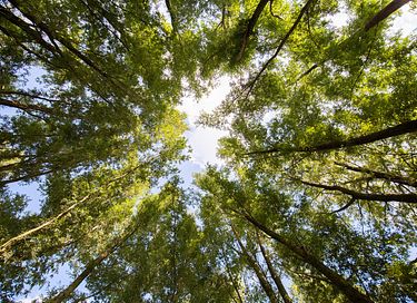 Groepsaccommodatie (24p) in de natuur  - 16