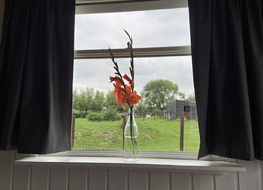 Pipowagen in een landelijke omgeving  - 5