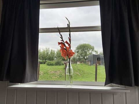 Pipowagen in een landelijke omgeving  - 5