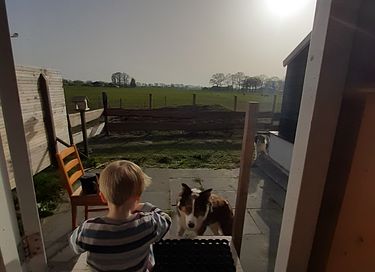 Séjour dans une cabane de berger à la ferme - 15
