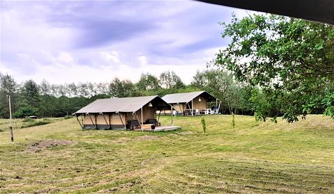 Safaritent 6 pers. op minicamping in Drenthe - 2