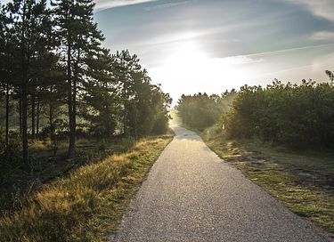 Luxuriöses Familienzelt auf der Insel Ameland - 23