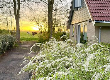 Dog-friendly family home by the sea - 22