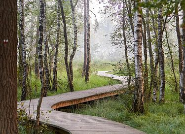 Camping confortable en Campine - 21