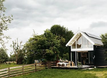 Tiny House in boomgaard tussen de schapen - 4
