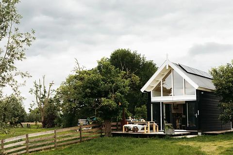 Tiny House in boomgaard tussen de schapen - 4