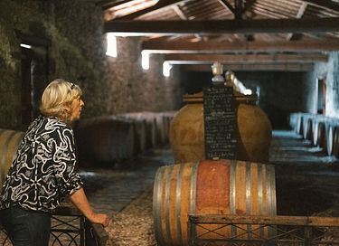 Tiny house dans les vignes en Dordogne - 22