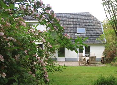 Mooi gelegen boshuis in Gelderland - 2
