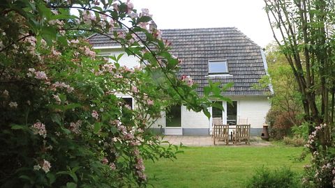 Mooi gelegen boshuis in Gelderland - 2