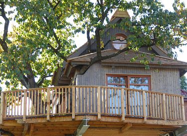 Prachtige boomhut in een oude kersenboom - 4