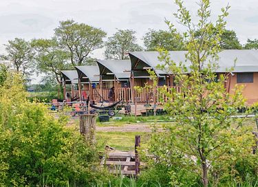 Glamping op een boerderij in Friesland - 3