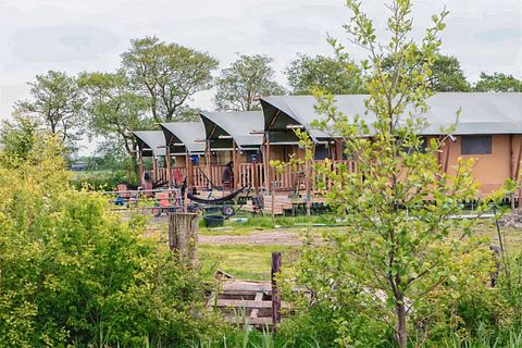 Glamping op een boerderij in Friesland - 3