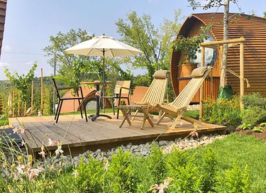 Leuke pod midden in een natuurgebied - 2
