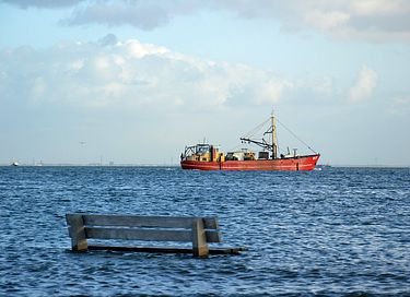 Holiday home in Zeeland with an unobstructed view - 32
