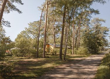 Bungalow in de natuur in Overijssel - 19
