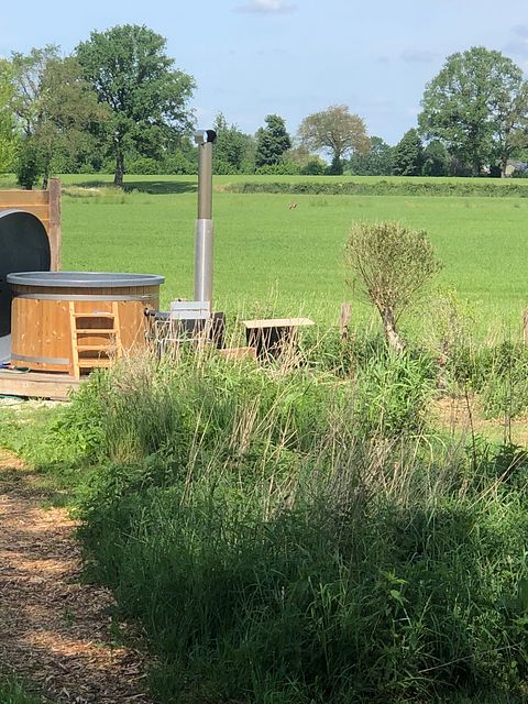 Ferme élégante dans la campagne d'Achterhoek - 3