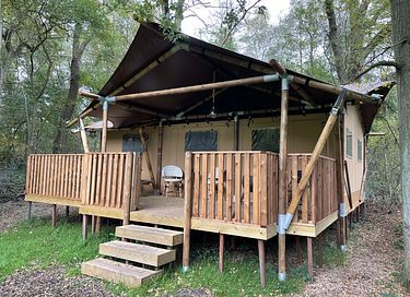 Spacious lodge on beautiful estate with horses