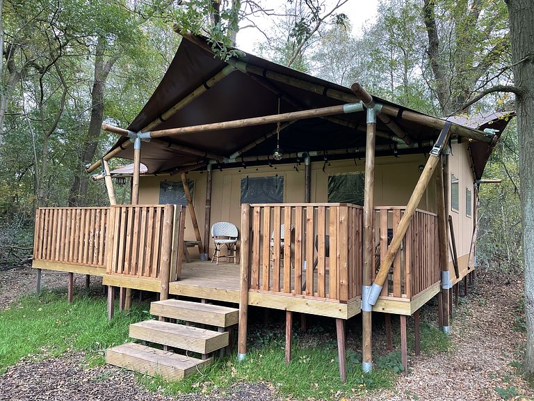 Ruime lodge op mooi domein met paarden - 1