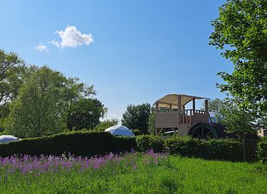 Glampingtent voor 2 personen in de natuur - 12