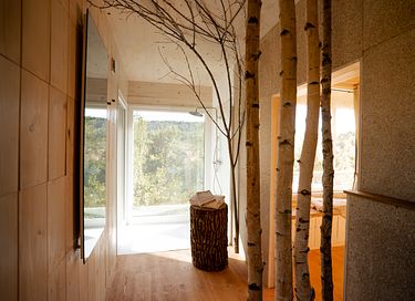 Nature Cabin for 2 People - 8