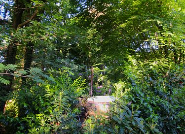 Roulotte tzigane dans les bois avec cheminée - 43
